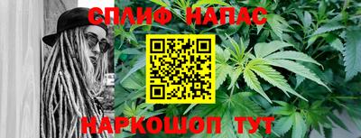 скорость Кингисепп