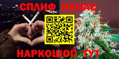 гидра Кинель