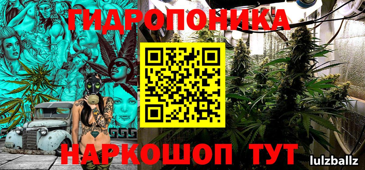 Бошки марихуана OG Kush Канск
